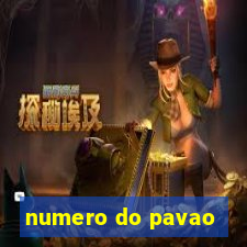 numero do pavao